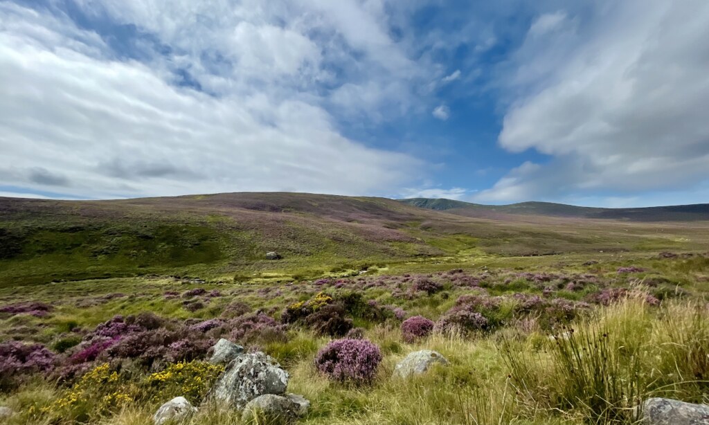 Wicklow Mountains National Park Ireland